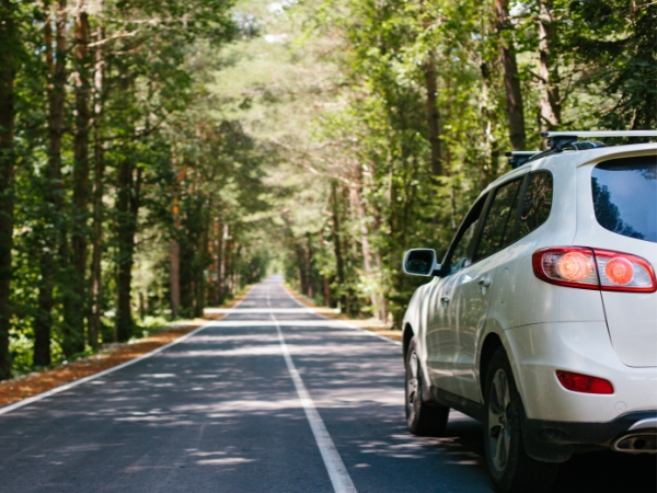 Seguro Auto Internacional